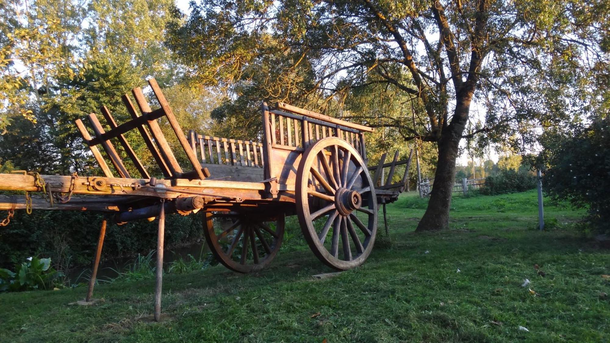 Le Moulin Bregeon Panzió Linières-Bouton Kültér fotó